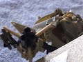 transformers toy animation part 2