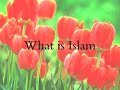 Which is better to  Islam    Christianity    Buddhist    Judaism    Parsee