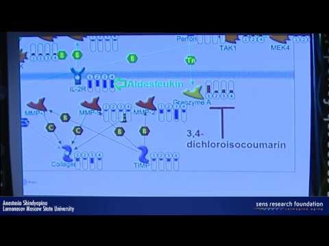 Factors involved in age-related mineralization of soft tissues – Anastasia Shindyapina