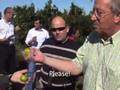 Effects of pesticides regulation revision: Spanish farm visit