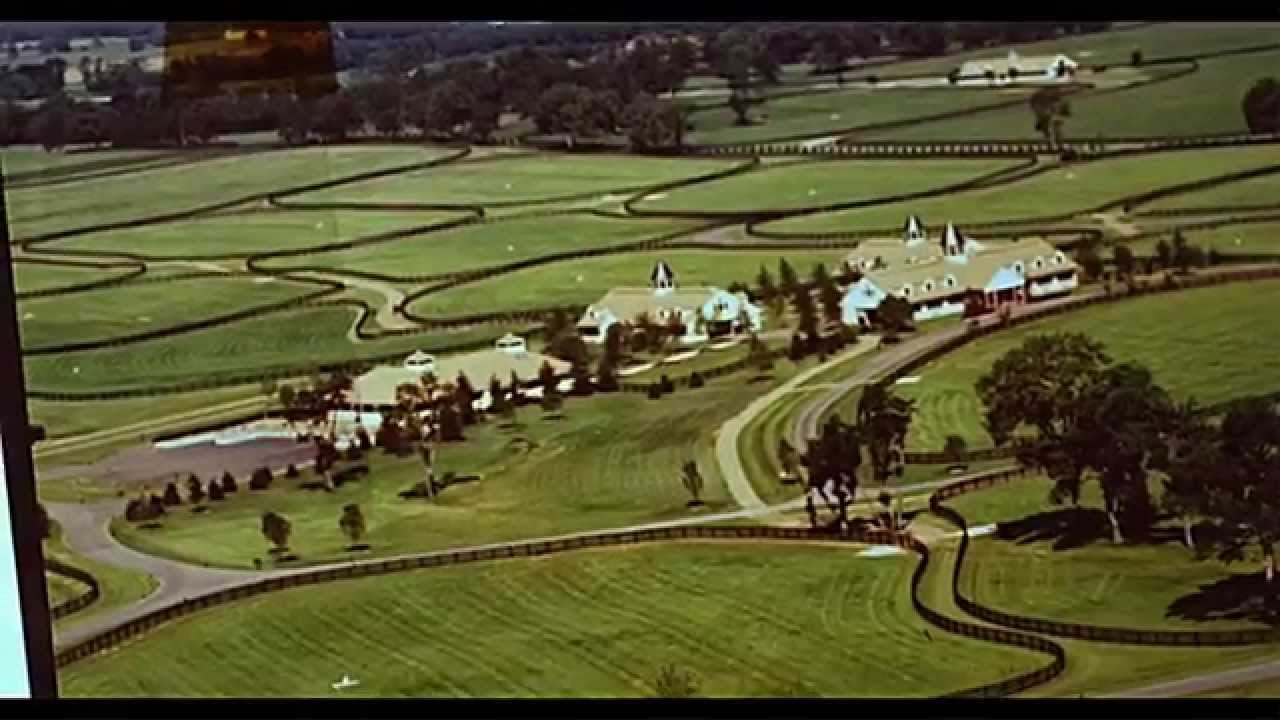 Lane's End The Official site of Lane's End Farm