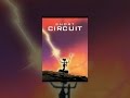 Short Circuit