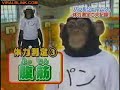 Crianças vs Animais