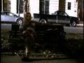 number 4, wookie suit