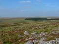 Bodmin Moor
