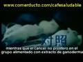 Investigacion sobre ganoderma