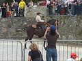 équitation portugaise en amazone Cheval de Bataille équitation portugaise en amazone Cheval de Bataille