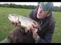 Britain in Cold Blood - The Chub
