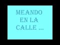 Meando En La Calle