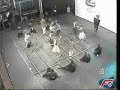 GODAP - Dança BAMBÚ - FOLCLORE GODAP - Dança BAMBÚ - FOLCLORE
