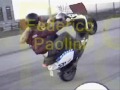 paolini the best  impennate 