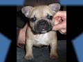 Nina's Drake Kids 5w 5d