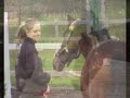 My little pony... En novemberdag