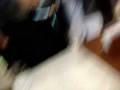 videos de Pelos puvicoos!