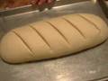 Follow-the-Sourdough