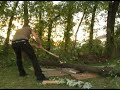 cut down trees