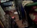 Oct 25 2008 - VID00033