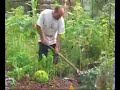 Part 6 - Organic vegetable gardens Part 6 - Organic vegetable gardens