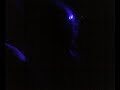 dave tarrida ripping it up big style at the subbie in glasgow for kinky afro. he played an absolute blinder but wish i'd recorded more as the next track was well banging.