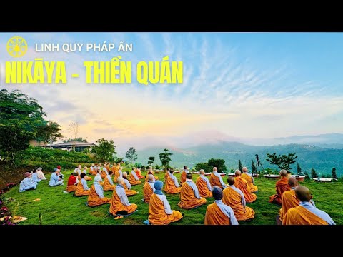 NIKAYA Thiền Quán - Đứa Con Lưu Lạc Đã Trở Về & Phát Biểu Cảm Xúc *