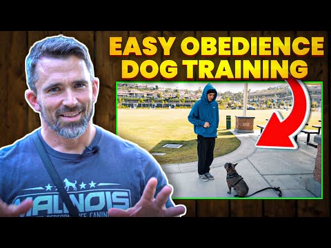 Easy Obedience Training With Your Dog - Shaping behaviors With Food!
