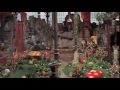 wonka pure imagination
