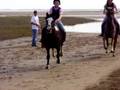 videos de Beach - Part 1