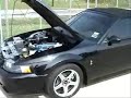 StrictlyPro.com - Greg's 04 KB/Spray Cobra - Dyno Pull