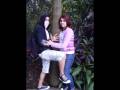 videos de passeio ao zoologico 8ºD