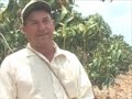 www.Sanut.com 