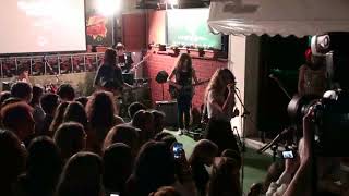 Rock Star School Animal Instict