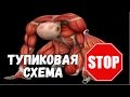 тренировка на массу 5 дней тренировка на массу 5 дней