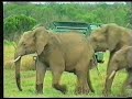 Kenya - Rift Valley Lakes