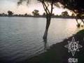 submitted by webmaster on Sun Sep 14 2008 at 01:24