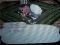 おいでよ どうぶつの森動画