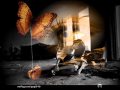 Crvena jabuka - Tugo nesreco