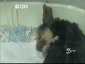 [Fan vid] Ryeo Wook - Just For One Day