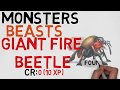 The Best 18 Giant Fire Beetle 5E