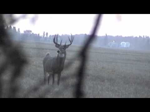 how to harvest deer