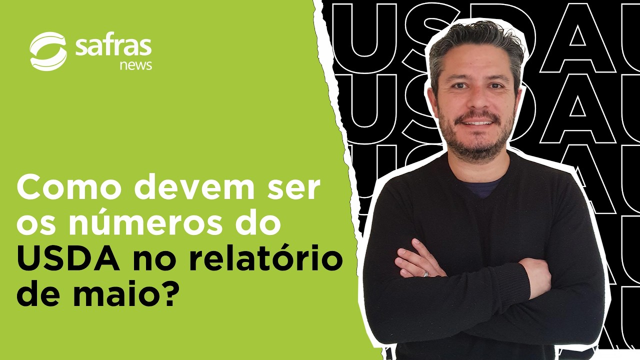 Acompanhe as expectativas para soja, milho e trigo do relatório de maio - Pré-USDA