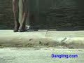 Lost high heels pump while dipping 1