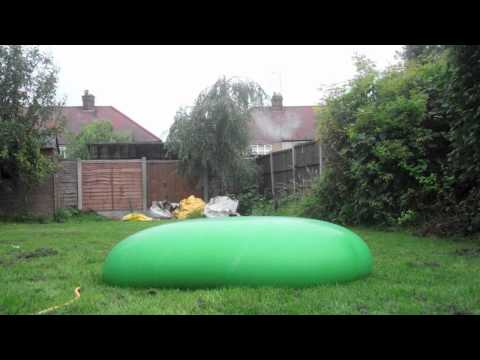 Dolphin Dive + BALLOON!