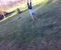 Backflip 2