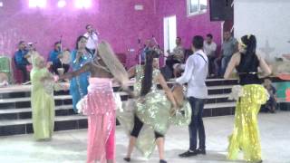 Cheba Ibtissem 22 041 319 /95 494 980