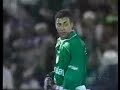 palmeiras x flamengo