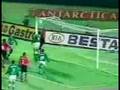 palmeiras x flamengo