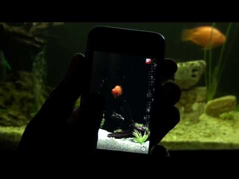 YouTube Preview Image