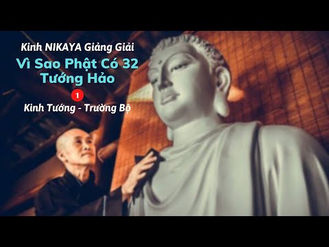 Kinh NIKAYA Giảng Giải - Vì Sao Phật Có 32 Tướng Hảo 1 ? ( Kinh Tướng - Trường Bộ )