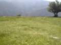 Vogezen Paragliding 2007 CCNV 9
