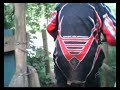 cwm carn wales forest ride out vol 4 red run cwm carn wales forest ride out vol 4 red run